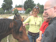 Paardjes vind ik lief, zolang ze maar niet te dichtbij komen
